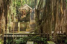 Ubud: Waterfall, Rice Terraces, and Monkey Forest Private Tour