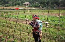 Ha Giang Easy Rider 3D3N