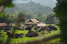 Ha Giang Easy Rider 3D3N