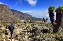 6 Days Machame Route Kilimanjaro Trekking