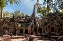 Explore Angkor Wat and Ta Phrom in depth