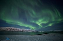 Northern Lights Chase