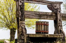 Countryside Half-day Gastro & Wine Tours near Budapest with Meal