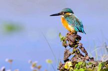 Best of Nepal Luxury Adventure Tour Package - 9 Days 