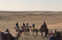 Private Day Tour to Cairo from Portsaid Port & Hotels