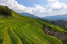 Guilin Tea plantation and Longji Rice Terraces Day Tour from Guilin hotel