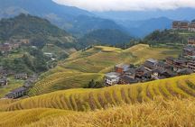 Guilin Tea plantation and Longji Rice Terraces Day Tour from Guilin hotel