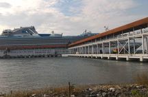 Port Klang Shore Excursions for KL City Tour