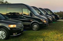 14 Passenger Luxury Sprinter Party Bus Ft Lauderdale 3 hour 