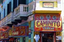 Buenos Aires Classic City Tour with Colon Theatre Optional