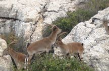 Private Guided Tour to Torcal de Antequera
