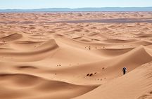 Morocco Anti-Atlas & Sahara 8 Days Tour from Marrakech