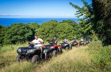 Polynesian Cultural ATV Tour
