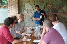 3 Organic Wineries Private Day Trip to Wine Province With Lunch and Tastings