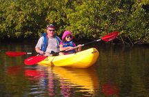 Guided Kayak Tour with Manatee & Dolphin Sightings
