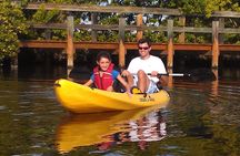 Guided Kayak Tour with Manatee & Dolphin Sightings