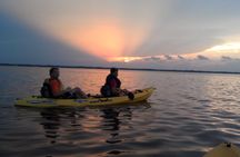 Guided Kayak Tour with Manatee & Dolphin Sightings