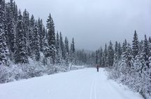 Learn to Cross Country Ski in Lake Louise