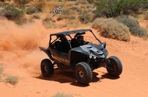 Valley of Fire 2-Person UTV Tour Las Vegas Most Scenic ATV Tour