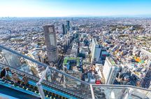 One Day Highlights Tour of Tokyo including Shibuya Sky Tickets