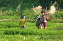 Ha Giang Trekker 2D2N