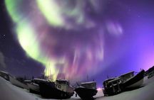 Northern Lights Tour Yellowknife