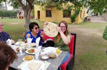 All inclusive Private 4-Day Tour around Giza.Cairo, Alexandria Luxor by flights 