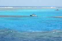 Abu Dabbab Beach Full Day From Hurghada