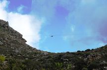 Zipline Cape Town - From Foot of Table Mountain Reserve 