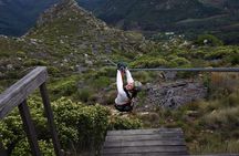 Zipline Cape Town - From Foot of Table Mountain Reserve 