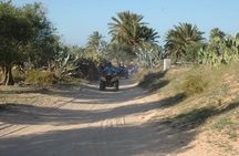 Great ride forest and blue lagoon in quad