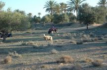 Great ride forest and blue lagoon in quad
