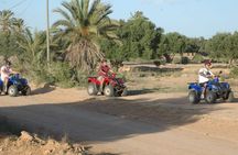 Great ride forest and blue lagoon in quad