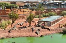 Agadir 3-in-1 Tour: Goats on Trees Souk El Had Crocoparc Tickets