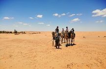 The Wonders of Tunisia: 8 days / 7 nights