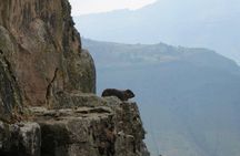  Day Hike Around Lalibela