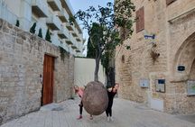 Running Tour - Tel Aviv Highlights 10KM