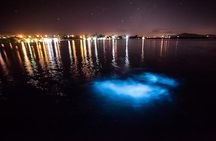 Luminous Lagoon Experience