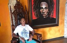 Private and customizable Ocho Rios day tour