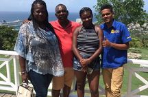 Private and customizable Ocho Rios day tour