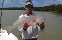 Sarasota Inshore Fishing Charters