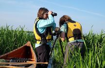 BIRDWATCH - Premium guided canoe tour at Cape Vente, Nemunas Delta Regional Park