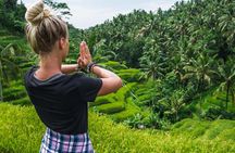 Bali Full Day Tour: Highlights of Ubud and Hidden Waterfall