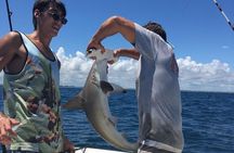 Naples Deep Sea Fishing Charters