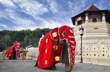 All Inclusive Kandy Private Day Tour From Colombo and Negombo
