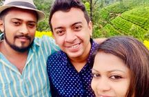 kandy to mirissa drop and pickup with botanical gardens 