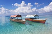 Zanzibar Prison Island Tour and Nakupenda Sandbank Trip - full day
