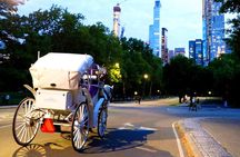 Central Park & Rockefeller Tour (4 Adults)