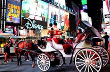 Central Park & Rockefeller Tour (4 Adults)