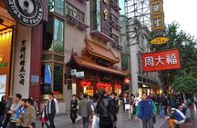 Modern Shanghai Half Day Private Walking Tour